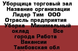 Уборщица торговый зал › Название организации ­ Лидер Тим, ООО › Отрасль предприятия ­ Уборка › Минимальный оклад ­ 27 200 - Все города Работа » Вакансии   . Тамбовская обл.,Моршанск г.